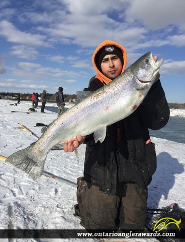 36" Rainbow Trout caught on Ganaraska River
