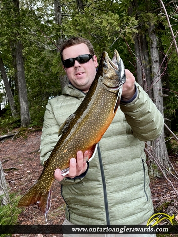 23.5" Splake caught on Lake M
