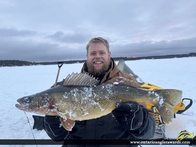 28.5" Walleye caught on Georgian Bay