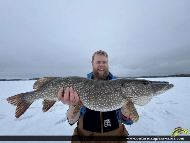 32.5" Northern Pike caught on Georgian Bay