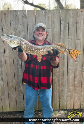 34" Northern Pike caught on Lake Simcoe