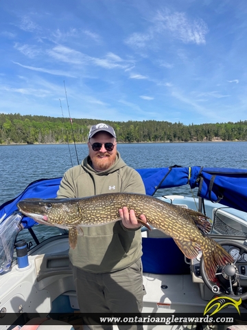 39.5" Northern Pike caught on Lake of the Woods