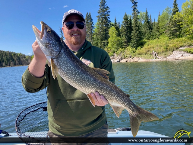31" Lake Trout caught on Lake of the Woods