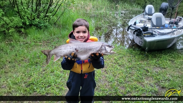 28.25" Lake Trout caught on Round Lake