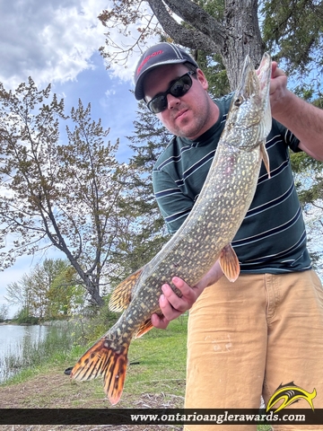 33" Northern Pike caught on Lake Nipissing 