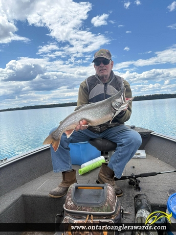 29.00" Splake caught on Lukinto