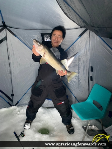 25.25" Walleye caught on Lake Nipissing 