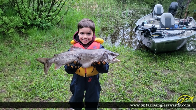 29" Lake Trout caught on Round Lake