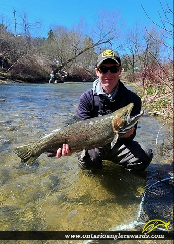 32.5" Rainbow Trout caught on Ganaraska River
