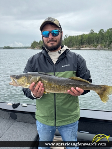 28.5" Walleye caught on Lake of the Woods