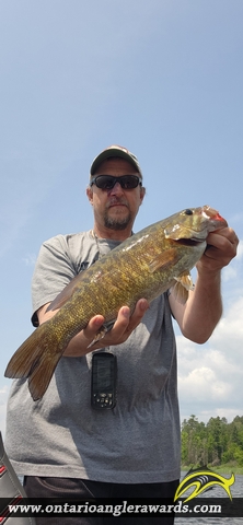 19.5" Smallmouth Bass caught on Lake of the Woods 