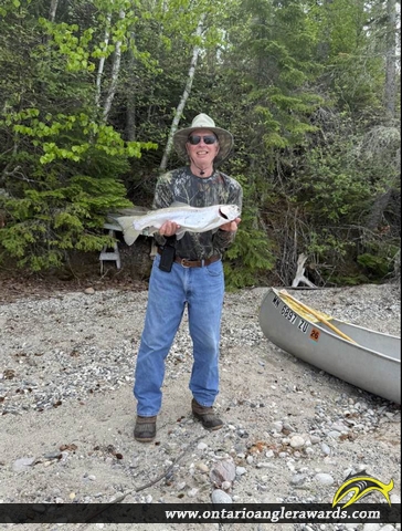 23.50" Rainbow Trout caught on Margo