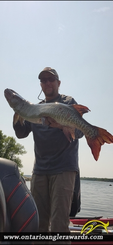 39" Muskie caught on Lake of the Woods 