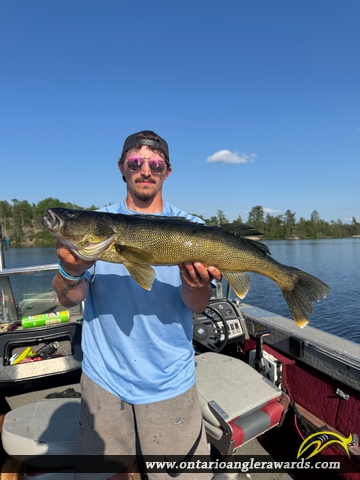 29" Walleye caught on Little Vermilion Lake