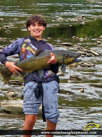 39" Chinook Salmon caught on Humber River