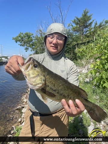 18.2" Largemouth Bass caught on Georgian Bay