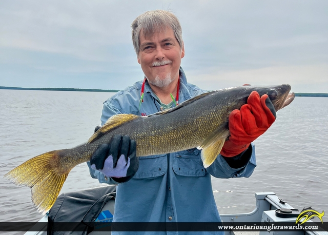 26" Walleye caught on Pakwash Lake