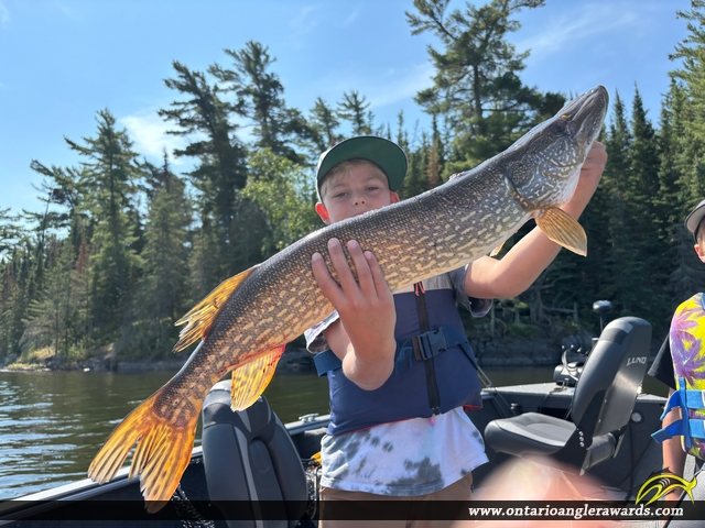 32" Northern Pike caught on Ogawa Bay