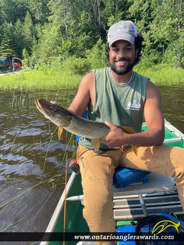 31" Northern Pike caught on Ottawa River