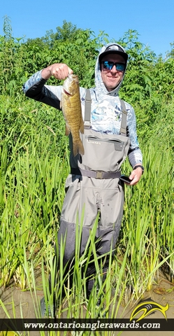 23" Smallmouth Bass caught on Nith River