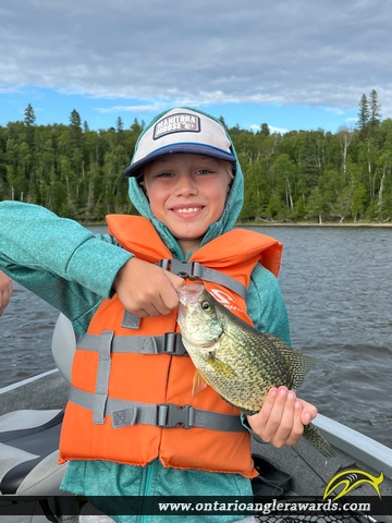 12" Black Crappie caught on Rugby Lake
