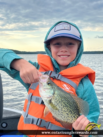 12.25" Black Crappie caught on Rugby Lake
