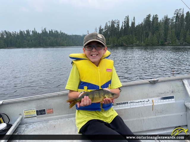 12.5" Yellow Perch caught on Wintering Lake