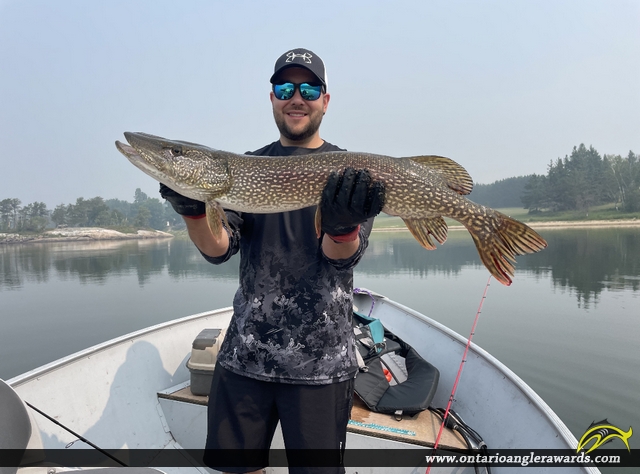 36.5" Northern Pike caught on Winnipeg River System