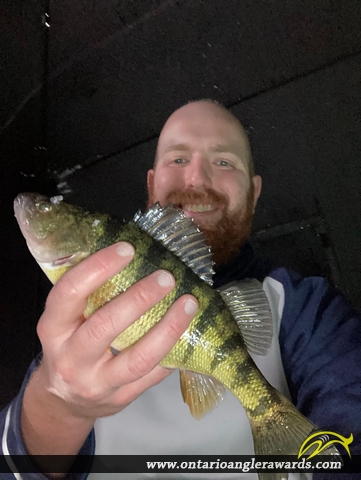 12" Yellow Perch caught on Lake Erie