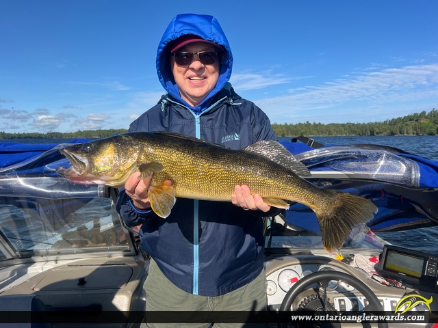 31" Walleye caught on Lake of the Woods