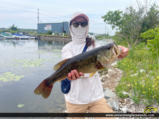 18.4" Largemouth Bass caught on Georgian Bay