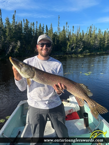 40.5" Northern Pike caught on Barn Lake 
