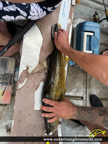 28" Walleye caught on Deception Lake