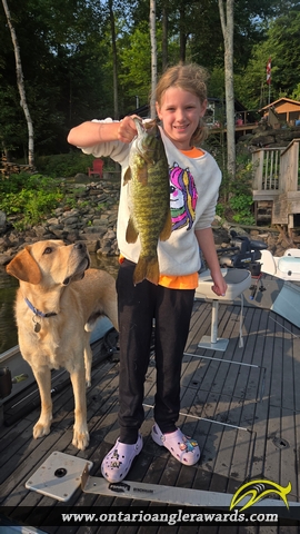 18" Smallmouth Bass caught on Boshkung Lake