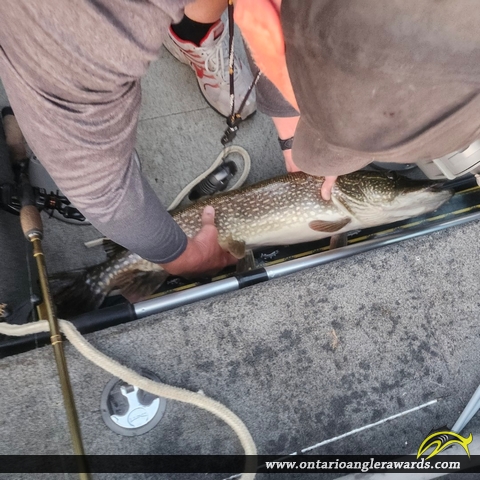34" Northern Pike caught on Whitefish Bay