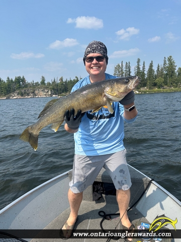 31.75" Walleye caught on Winnipeg River System 