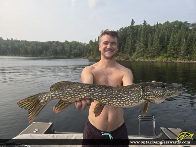 30" Northern Pike caught on Black Sturgeon Lakes