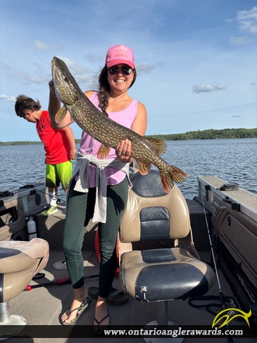 31" Northern Pike caught on Ptarmigan Bay