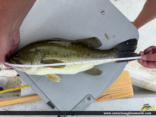 18" Largemouth Bass caught on Mephisto Lake