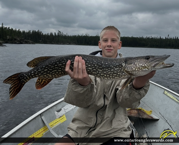 35" Northern Pike caught on Loree Lake