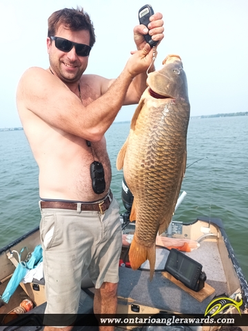 35" Carp caught on Bay of Quinte 