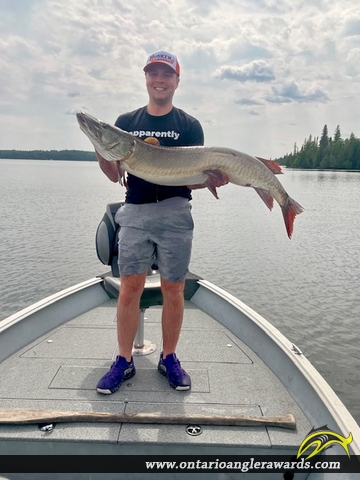 50" Muskie caught on Perrault Lake