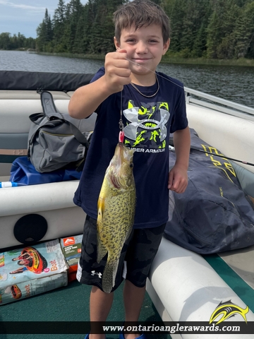 12.5" Black Crappie caught on Longbow Lake