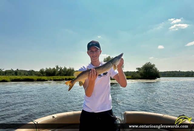31" Northern Pike caught on Ottawa River