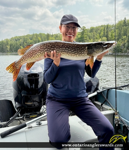 40" Northern Pike caught on Lake of the Woods