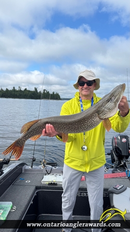 41" Northern Pike caught on Little Sand Lake