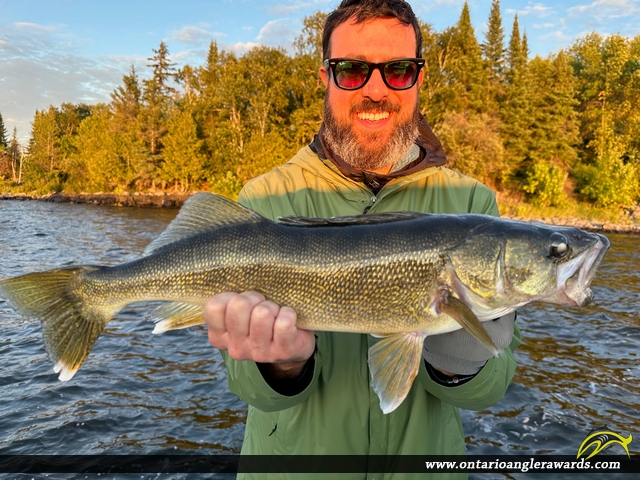 27.5" Walleye caught on Lake of the Woods
