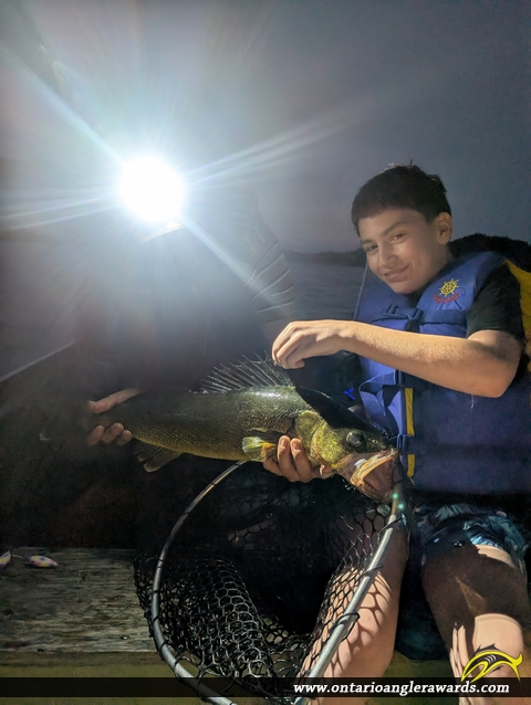 30" Walleye caught on Temagami