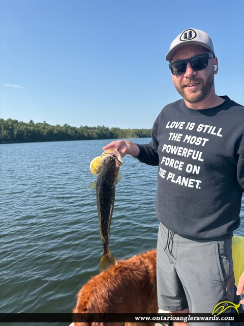 28" Walleye caught on Lake of the Woods