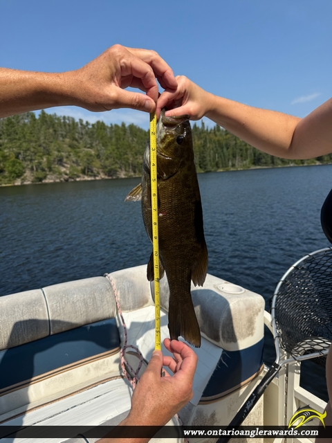 17" Smallmouth Bass caught on Dogtooth Lake